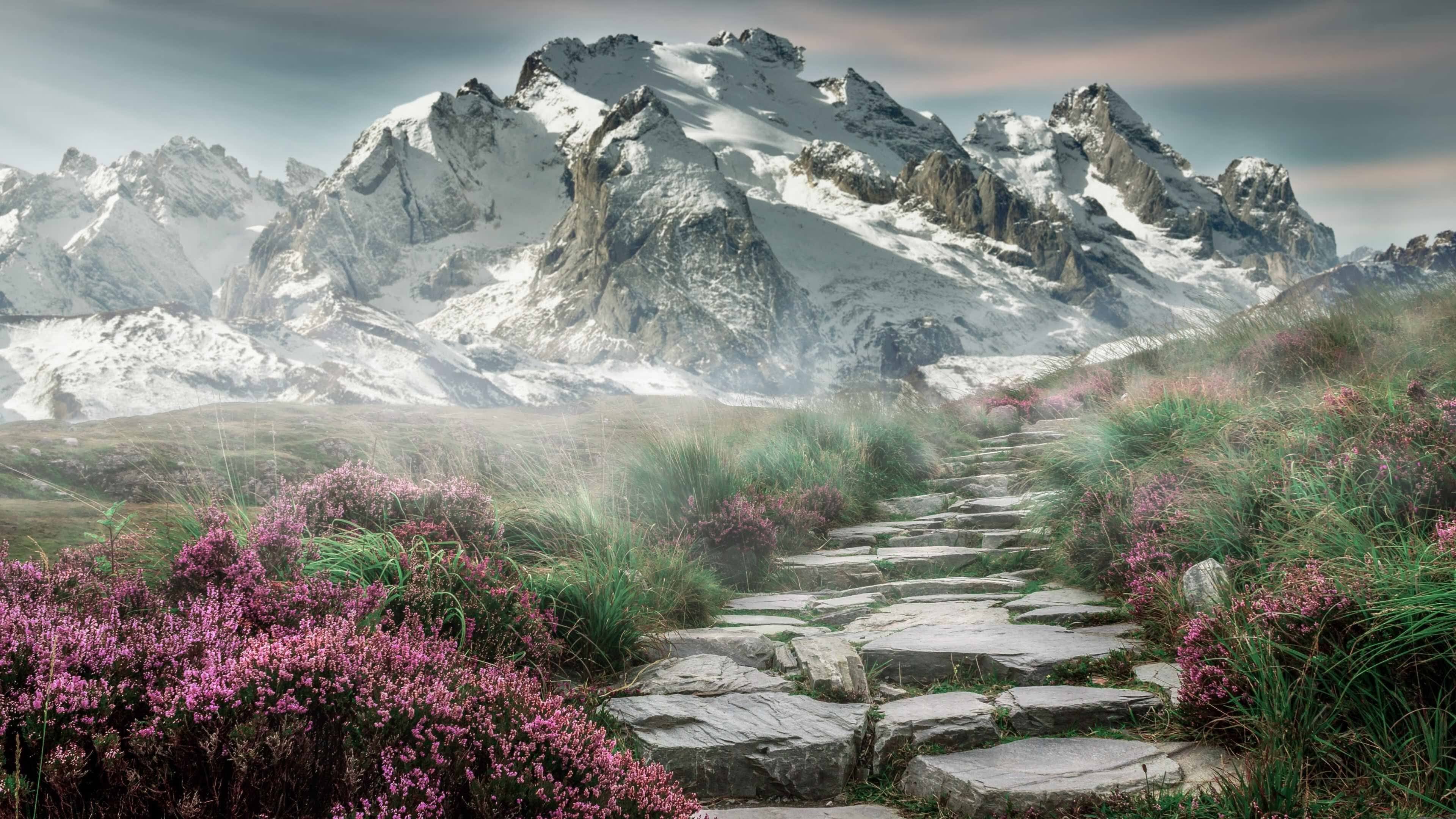 v7.2.5版本发布，2026年4月13日，一次关于效率与稳定的深度进化